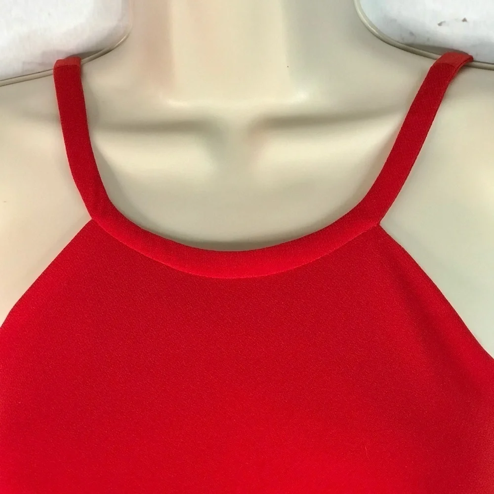 CALVIN KLEIN Halter Neck Size 4 Red Crepe Floor Length Maxi Gown Prom Dress - Picture 9 of 16